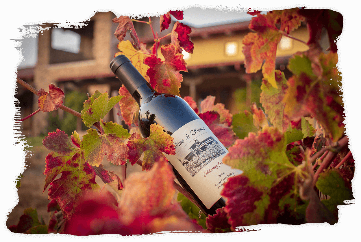 Entrepreneurship & Friendship