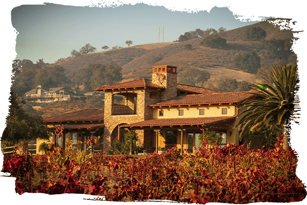 Making Dreams Come True