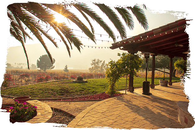 Turning a Vision into Reality